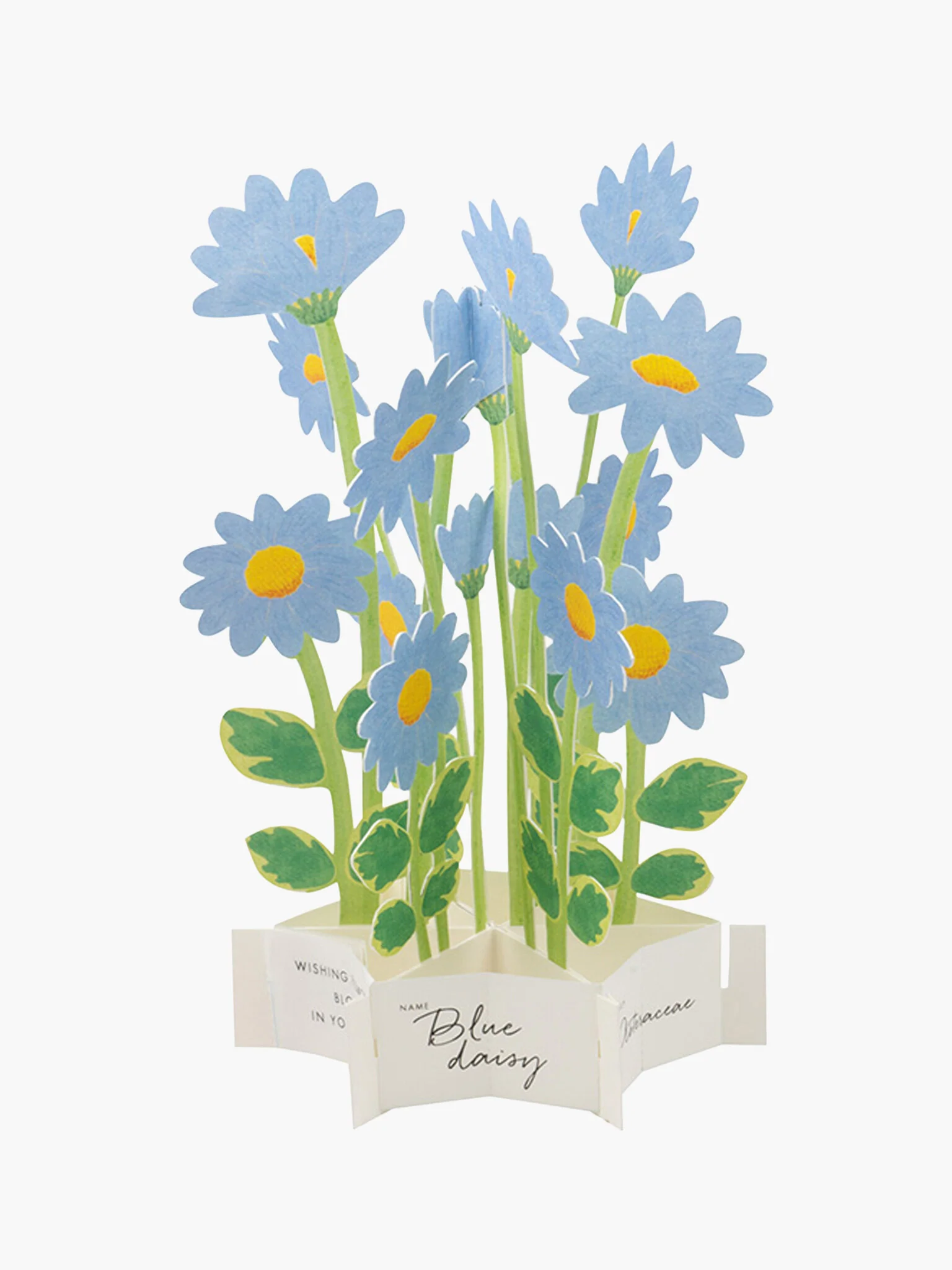 Birthday Blooming Pop-Up Card - Blue Daisy