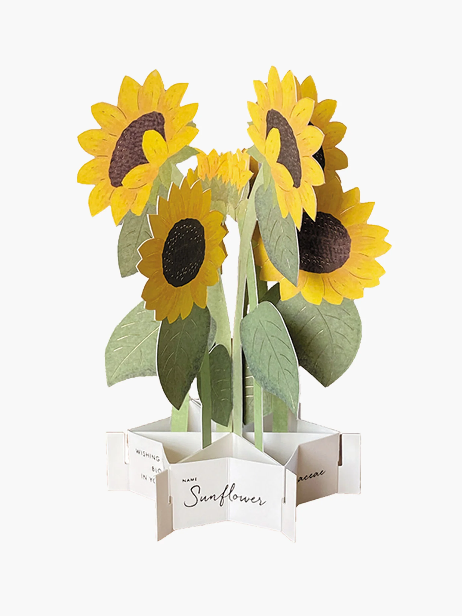 Birthday Blooming Pop-Up Card - Sunflower