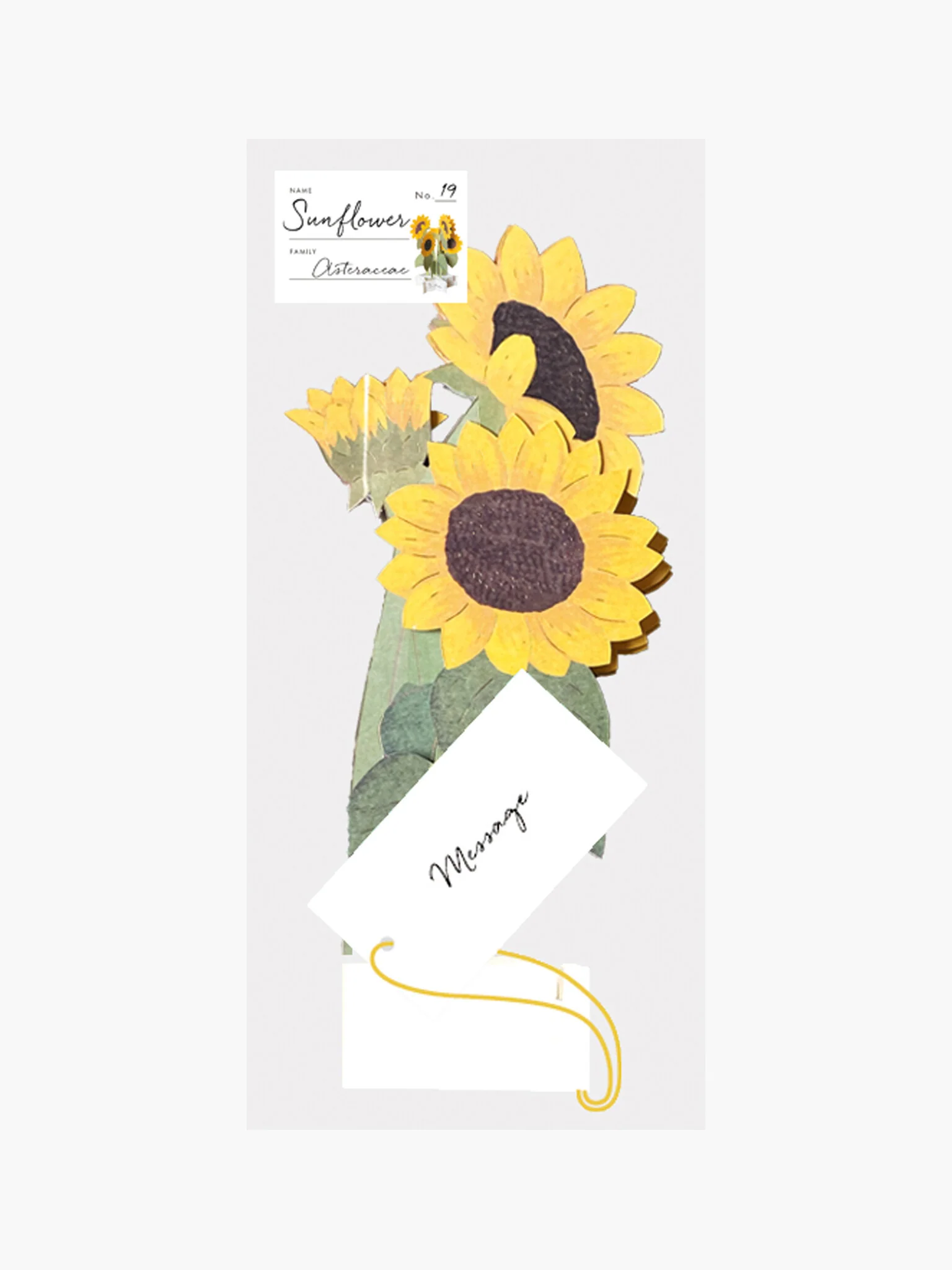 Birthday Blooming Pop-Up Card - Sunflower - Image 2