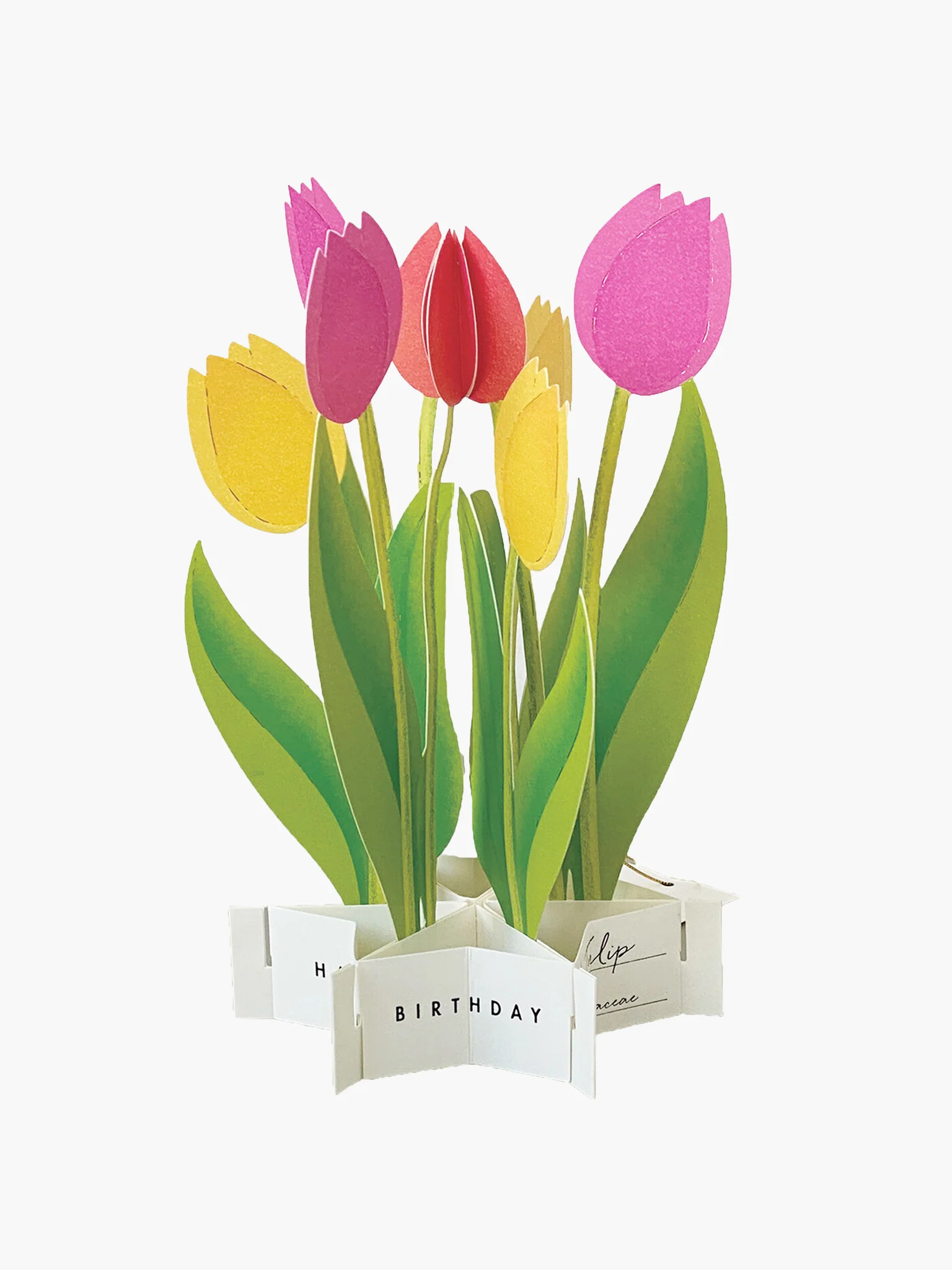 Birthday Blooming Pop-Up Card - Tulip