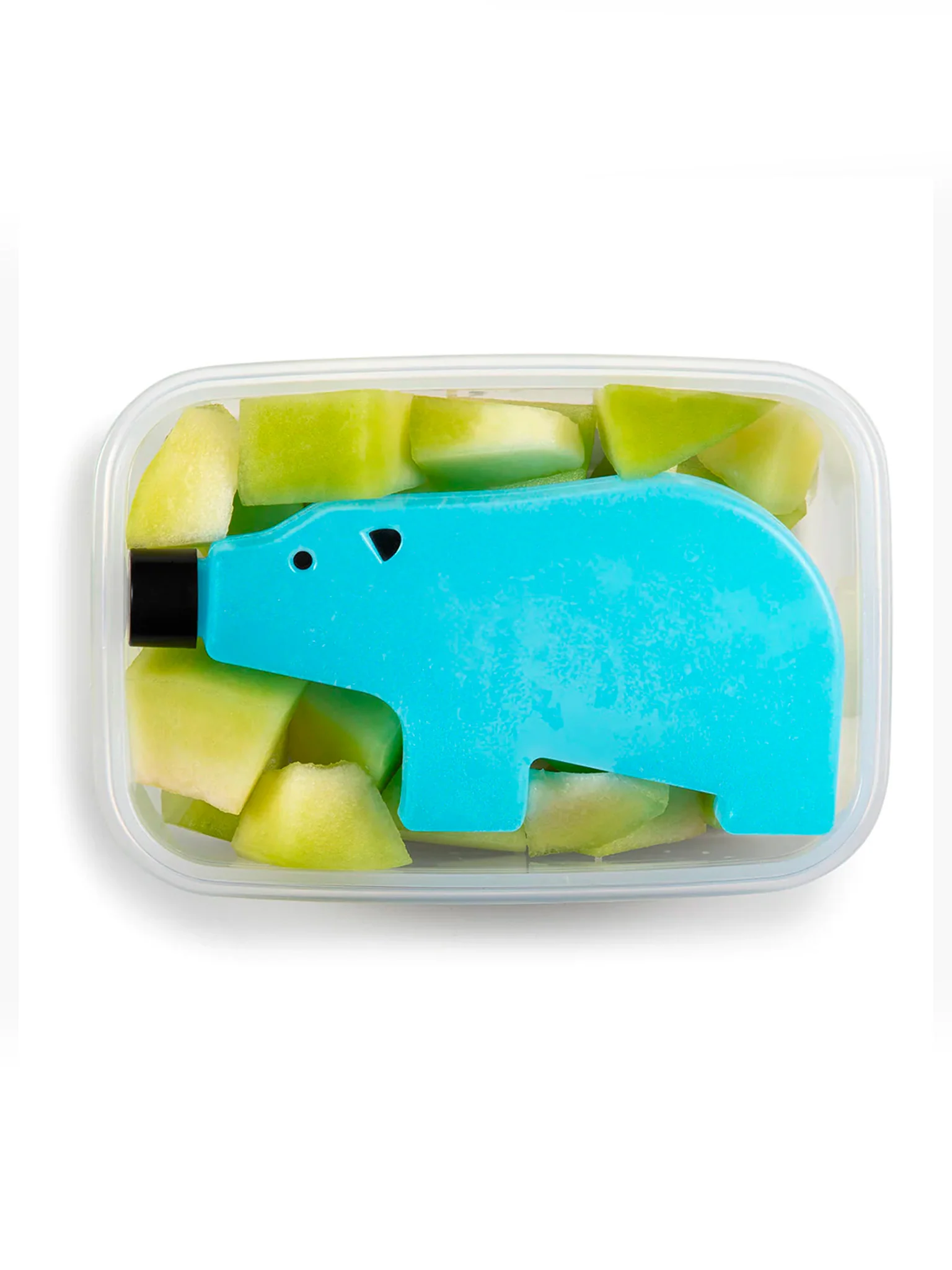 Blue Bear Ice Block - Cub (Small) - Image 3