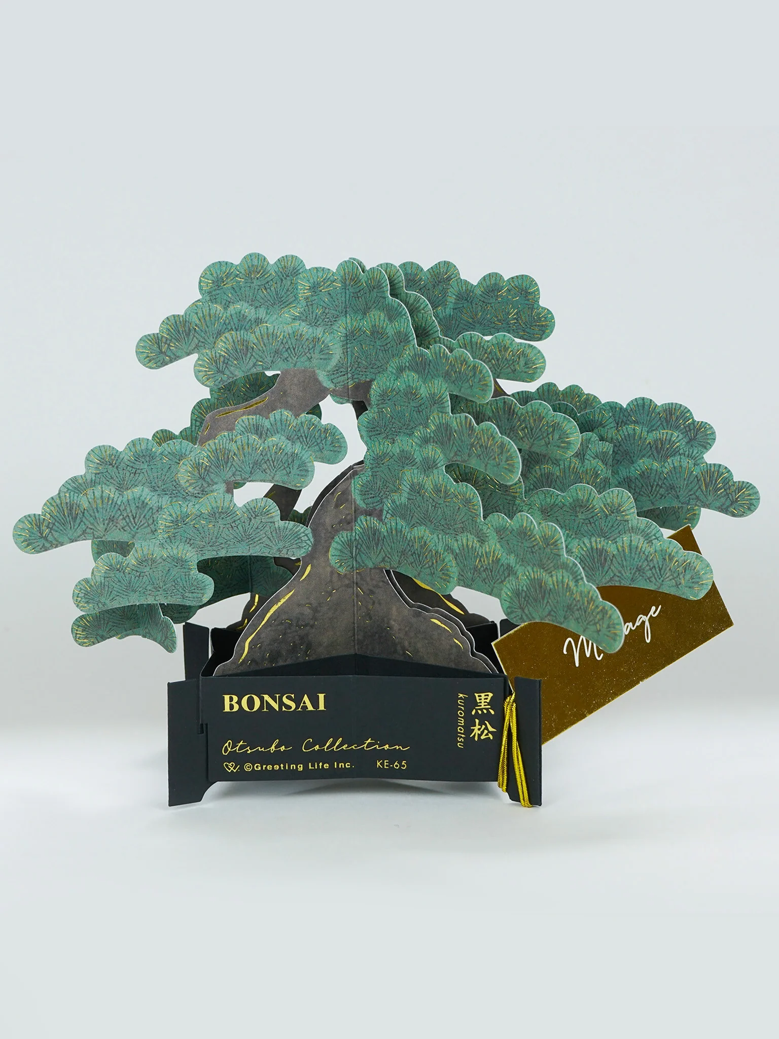 Bonsai Pop-Up Card - Black Pine - Image 2