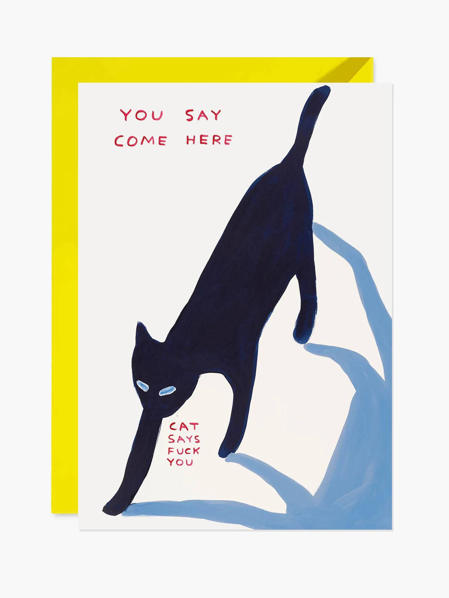 Cat Says Fuck You Card x David Shrigley