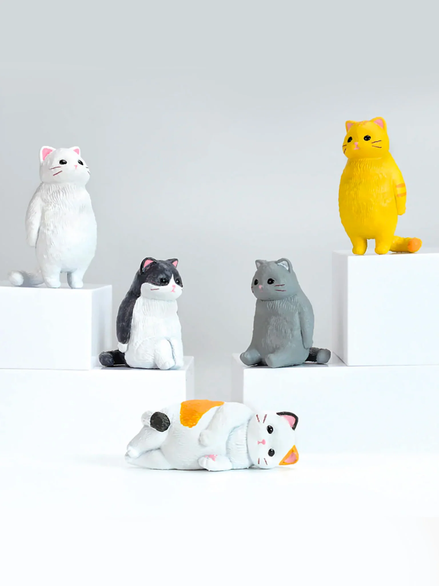 Kyomu Blind Box - Just Cats - Image 3