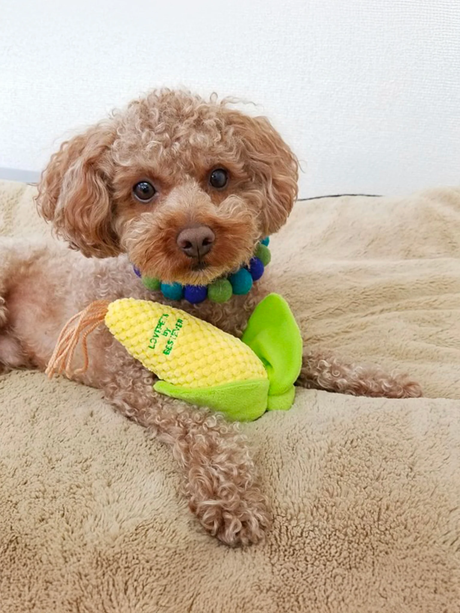 LOVE PETS Dog Toy - Corn - Image 2