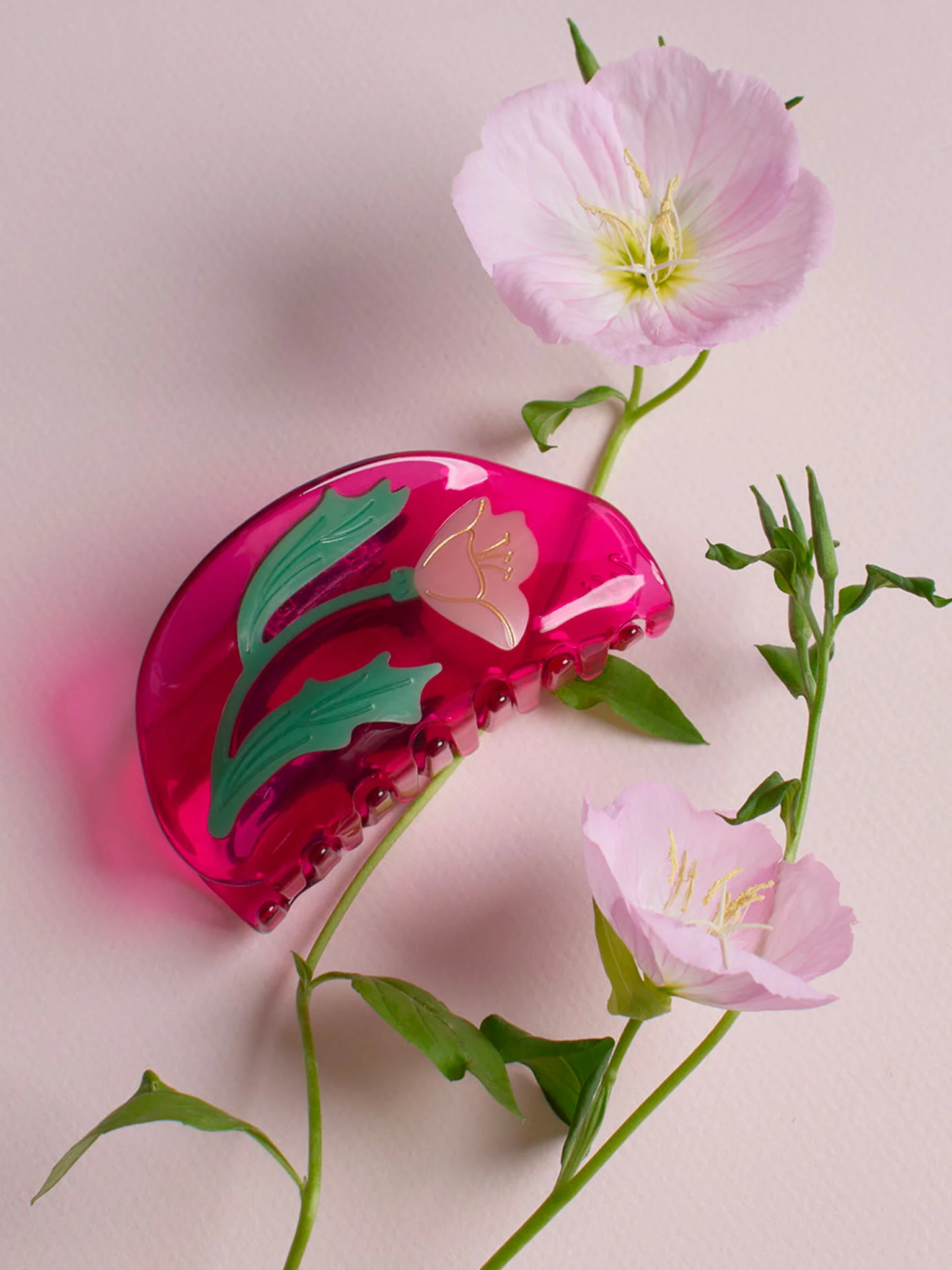 Mexican Primrose Claw - Image 2