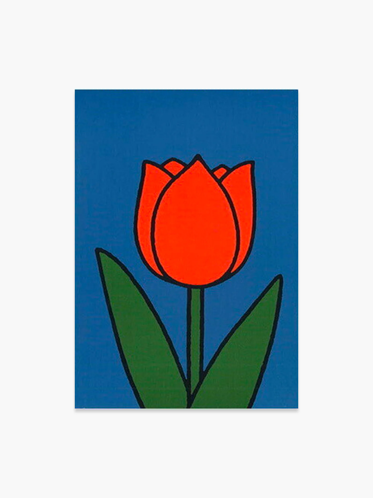 Miffy Postcard - Red Tulip