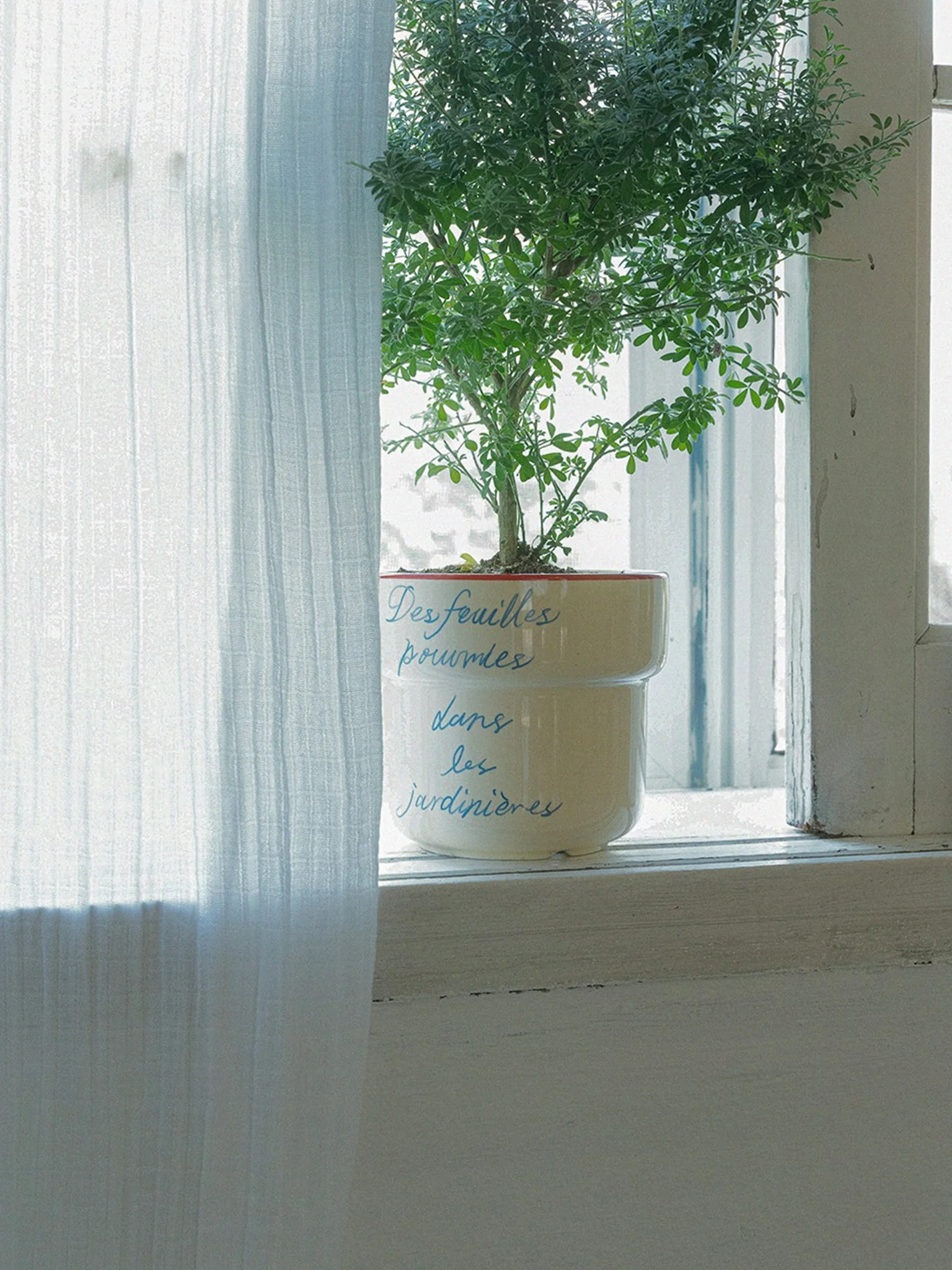 Offline Mode Planter - Lemon Sorbet - Image 3