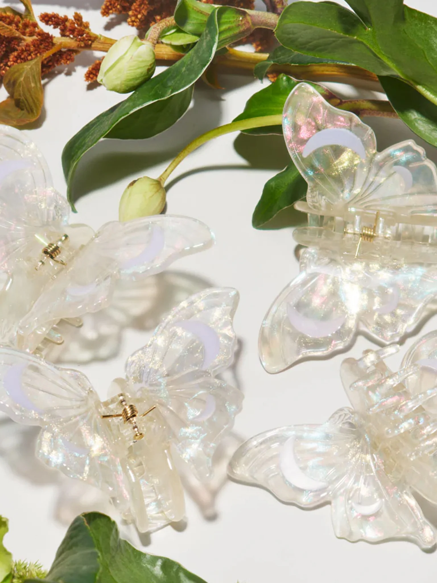 Satin Moth Claw - Image 3