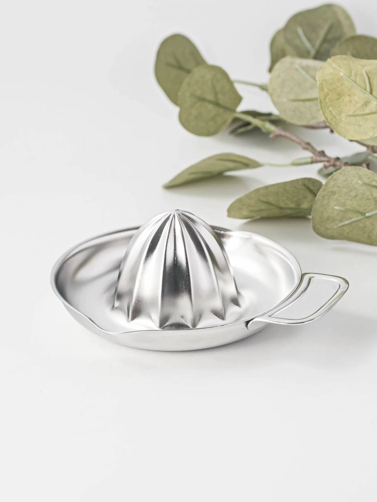 Stainless Steel Juicer - Image 2