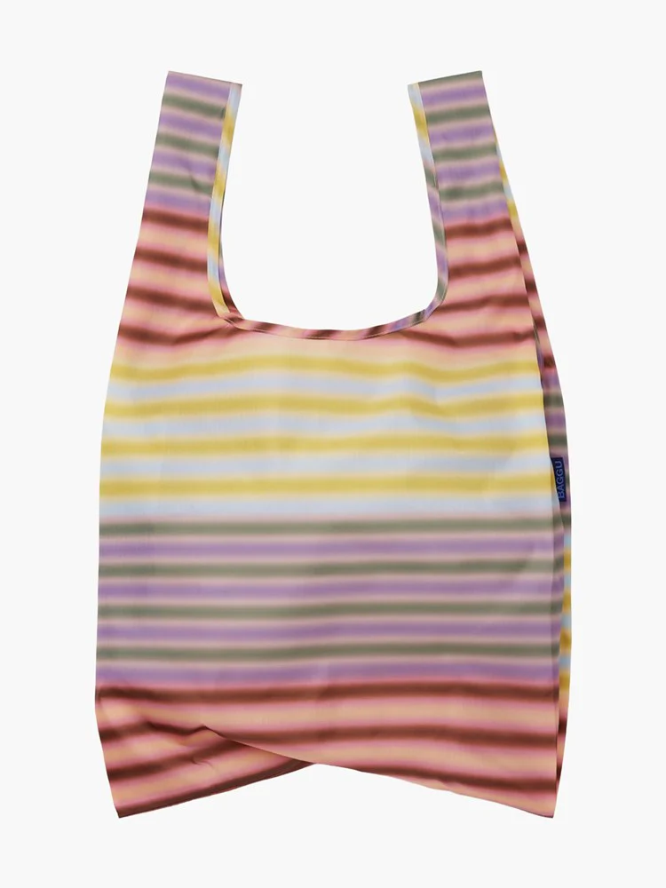 Standard Baggu - Gradient Stripe Multi
