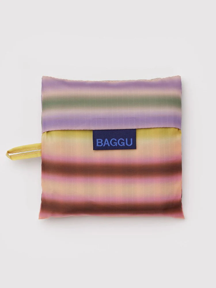 Standard Baggu - Gradient Stripe Multi - Image 3