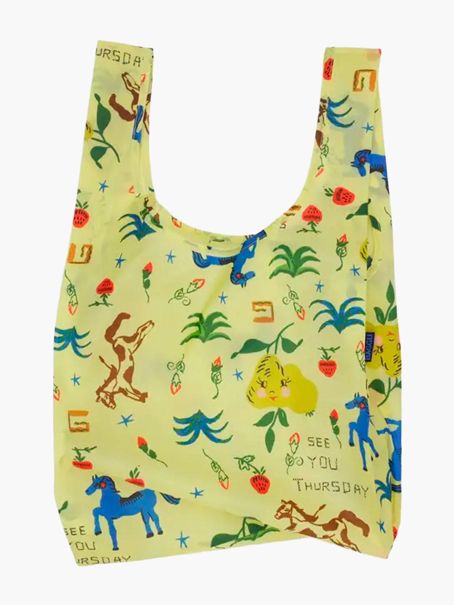 Standard Baggu - Painted Prairie
