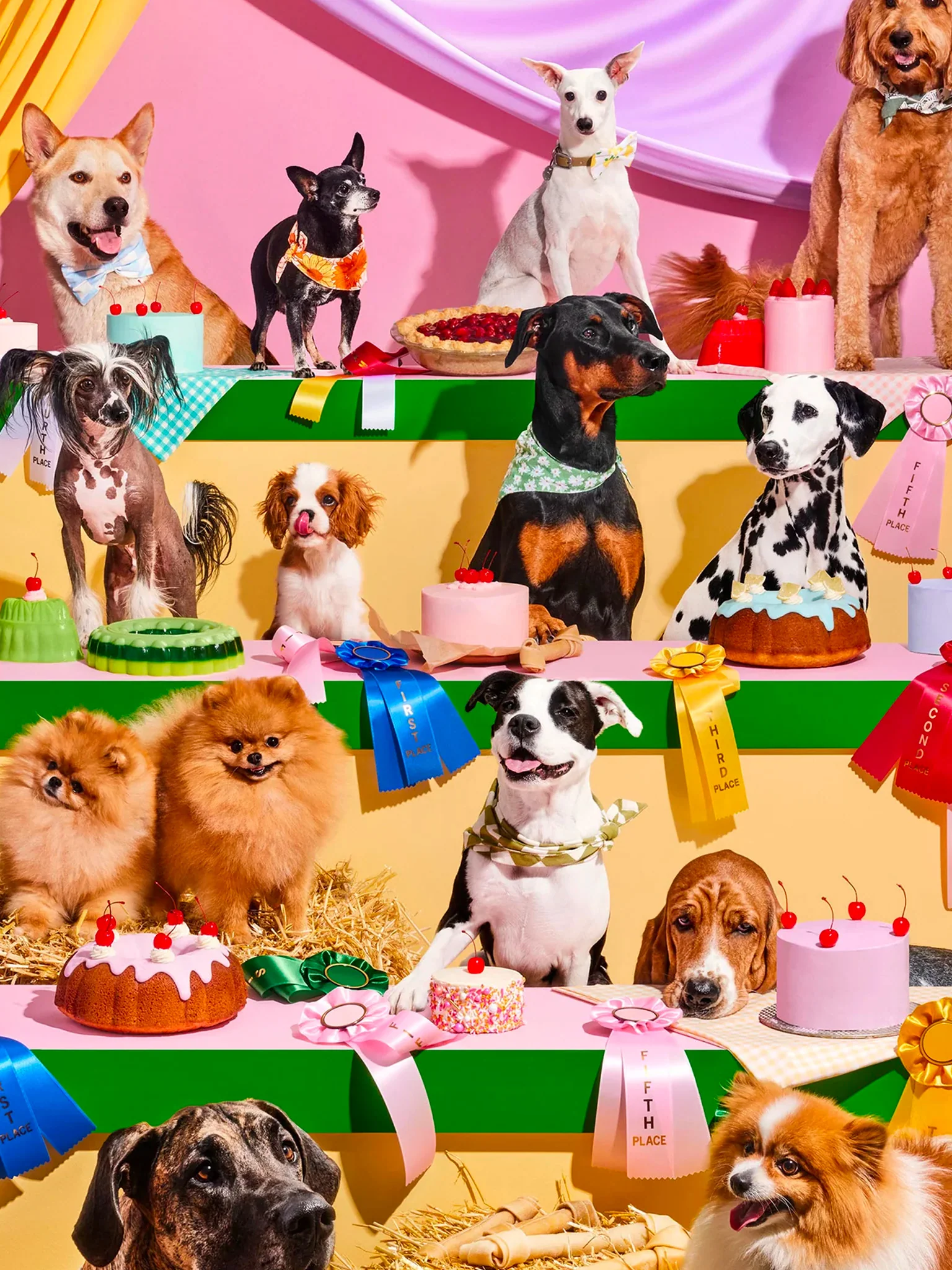 Top Dog Puzzle - 1000 pcs - Image 4